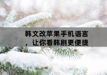 韩文改苹果手机语言,让你看韩剧更便捷 韩文改苹果手机语言,让你看韩剧更便捷-图片2